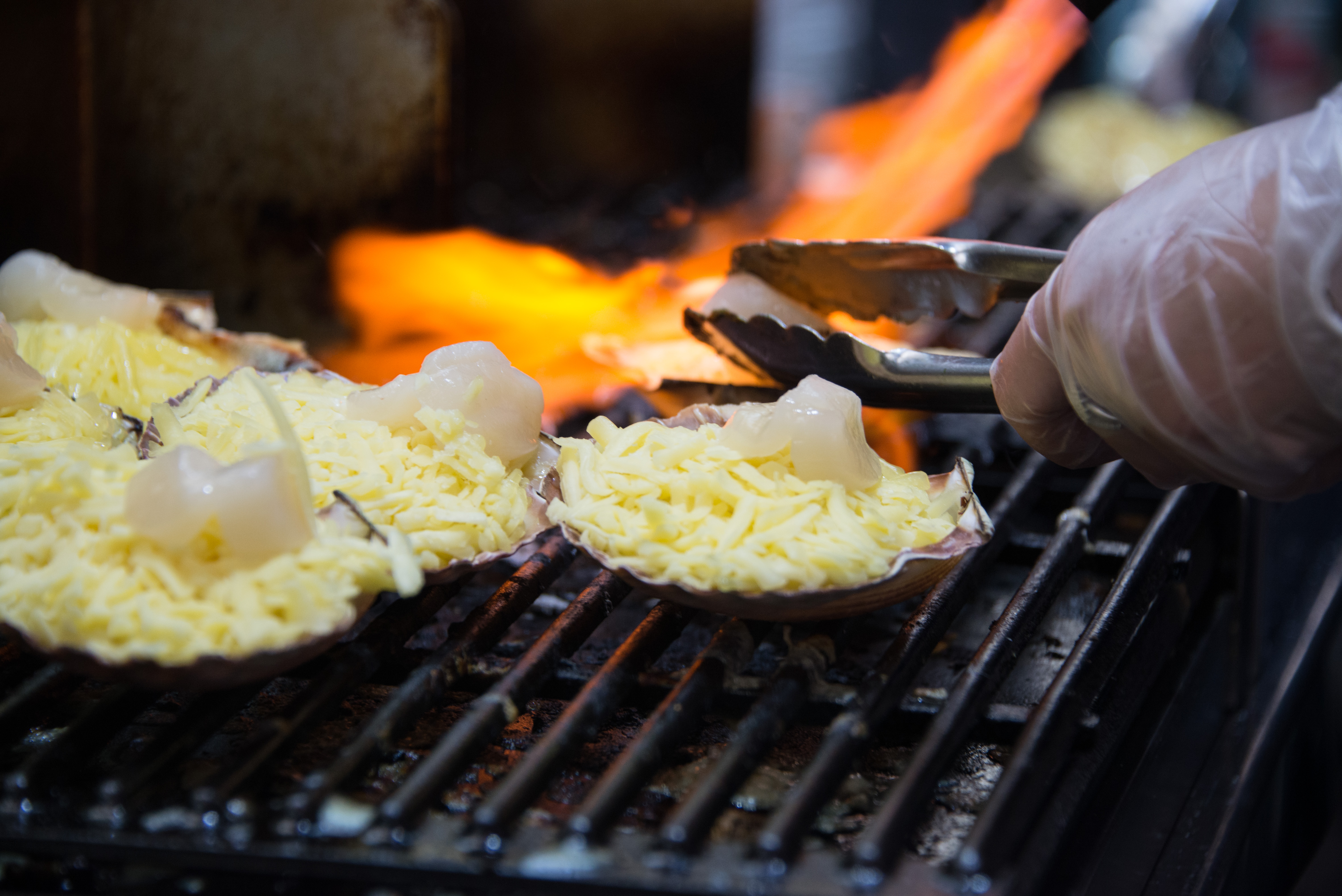 grilling scallops in their shells