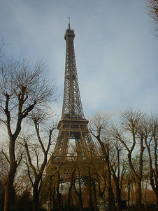 Eiffel Tower at winter's dusk