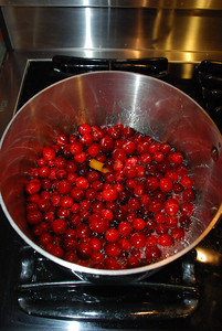 Cranberry concoction