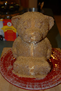 Bear with mange