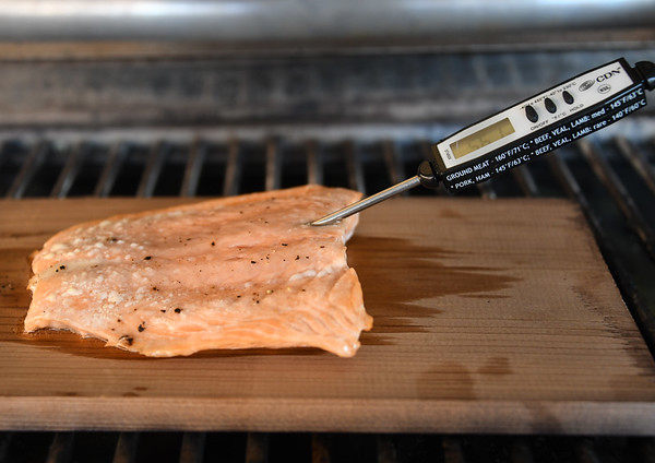 salmon on grill plank with digital thermometer