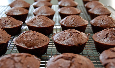 CHOCOLATE GUINNESS CUPCAKES