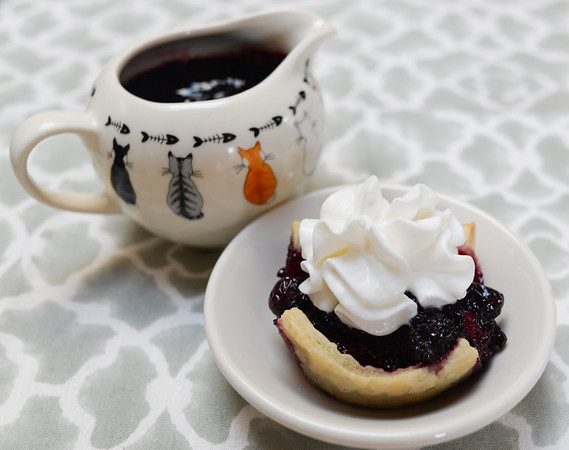 fruit of the forest tartlet with sauce