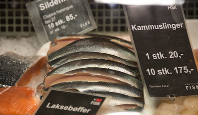 fresh herring