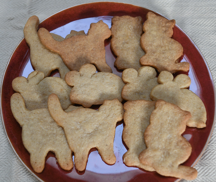 maple sugar cookies without icing