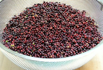 ELDERBERRIES