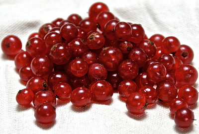 FRESH RED CURRANTS