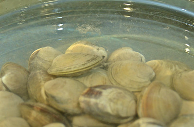 cleaning clams