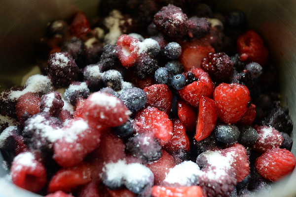 berries of the forest